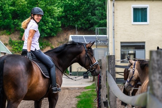 Reiterin auf einem Pferd auf dem Hof der Reitanlage